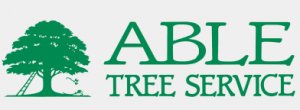 abletreelogo-2016-07-01
